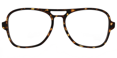 The Tortoise