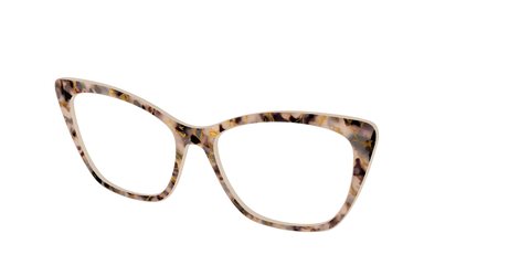 The Almond Tortoise with Gold Streaks