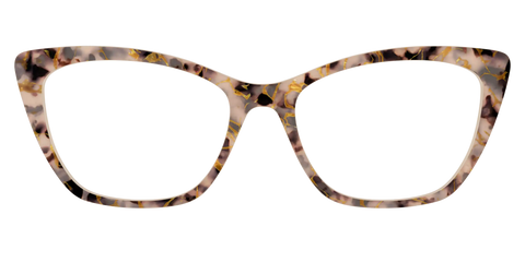 The Almond Tortoise with Gold Streaks