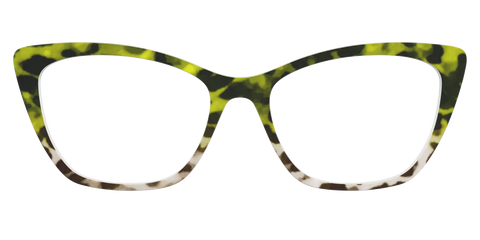 The Avocado to Ivory Tortoise