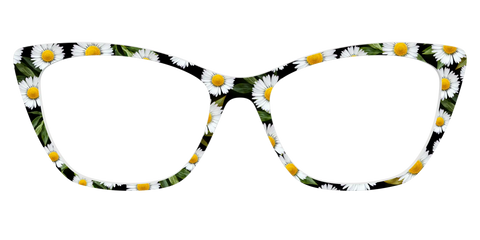 The Delicate Daisies