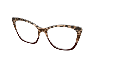 The Jungle Cat Tortoise