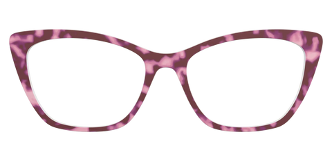 The Maroon Tortoise