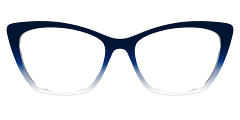 The Navy to White Gradient