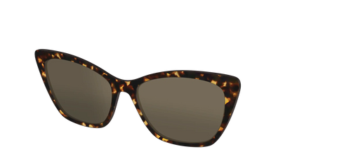 The Non-Polarized Tortoise Sun Top