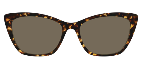 The Non-Polarized Tortoise Sun Top