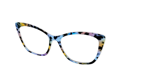The Positano Tortoise