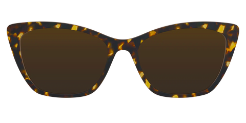 The Polarized Tortoise Sun Top