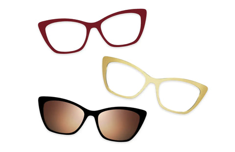 Tortoise - Set