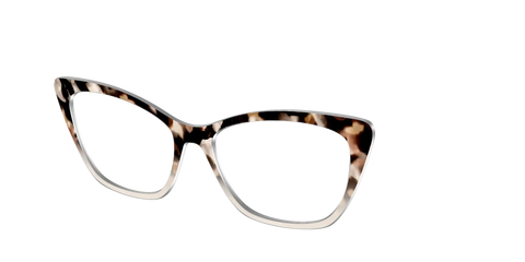 The Vanilla Latte Tortoise
