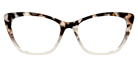 The Vanilla Latte Tortoise
