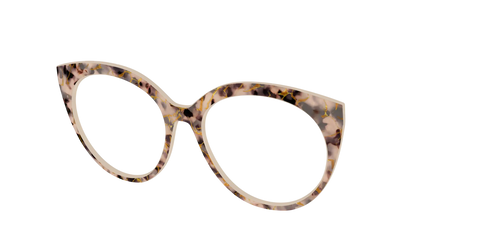 The Almond Tortoise with Gold Streaks