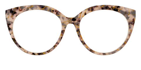 The Almond Tortoise with Gold Streaks