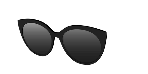 The Polarized Black Sun Top