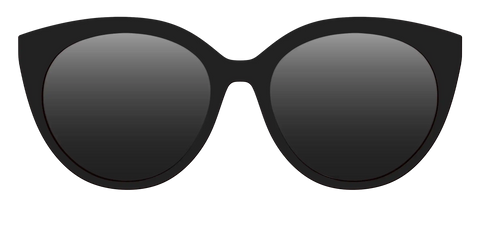 The Polarized Black Sun Top