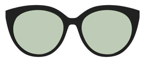 The Black With Sage Green Lens