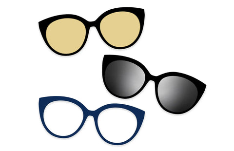 The Bold Staples Set