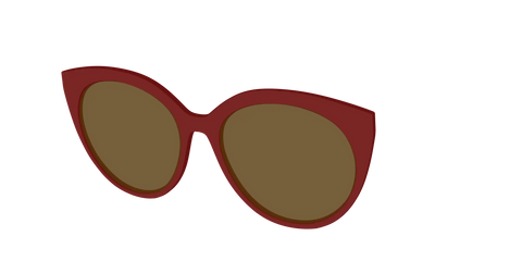 The Polarized Burgundy Sun Top