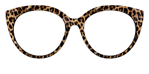The Cheetah Spots