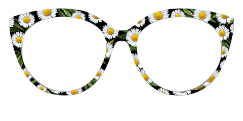 The Delicate Daisies