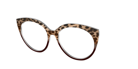 The Jungle Cat Tortoise