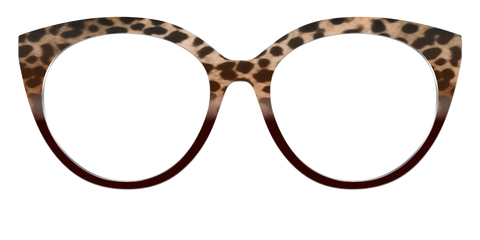 The Jungle Cat Tortoise