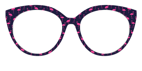 The Navy Flamingos