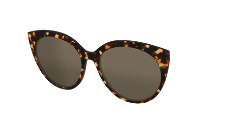 The Non-Polarized Tortoise Sun Top