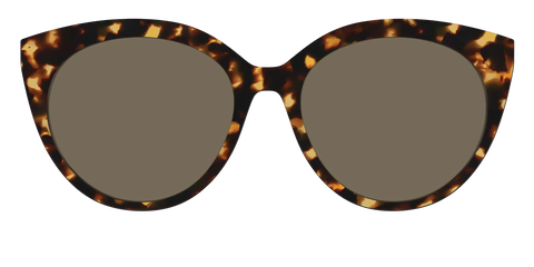The Non-Polarized Tortoise Sun Top