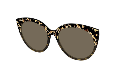 The Polarized Caramel Tortoise Horn Split Sun Top