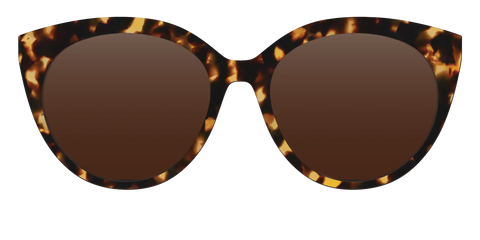 The Polarized Tortoise Sun Top