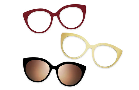 Tortoise - Set