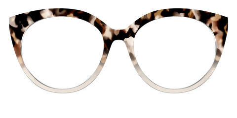The Vanilla Latte Tortoise