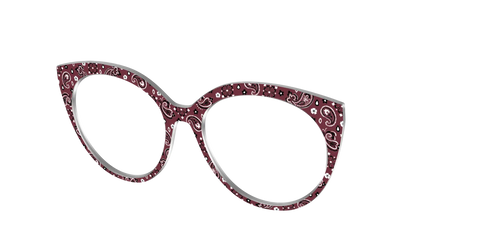 The Western Paisley