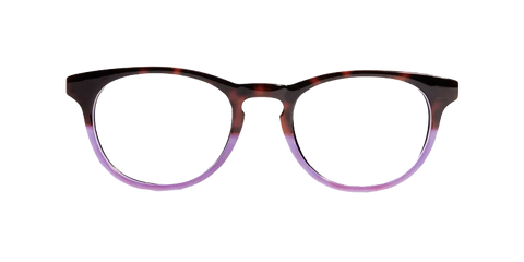 The Purple Tortoise